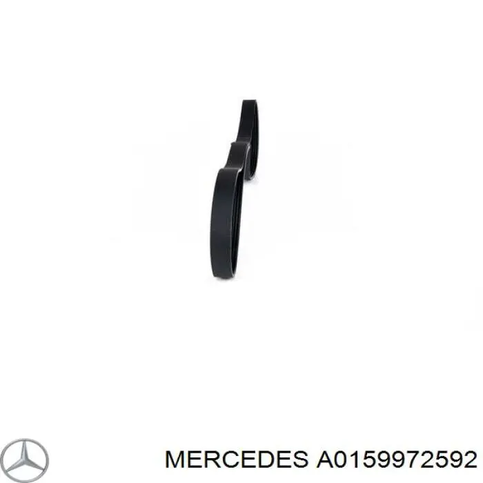 Correa de transmisión trapezoidal Mercedes A0159972592 precio, desde 25,03 EUR