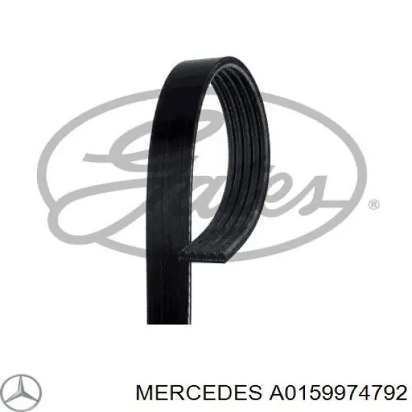 A0159974792 Mercedes Correa poly v