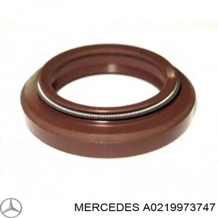 A0219973747 Mercedes