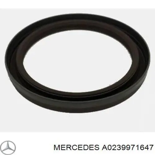 239971647 Mercedes