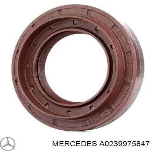 A0239975847 Mercedes anillo retén, diferencial trasero