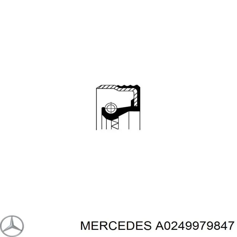A0249979847 Mercedes Retén del diferencial del eje trasero