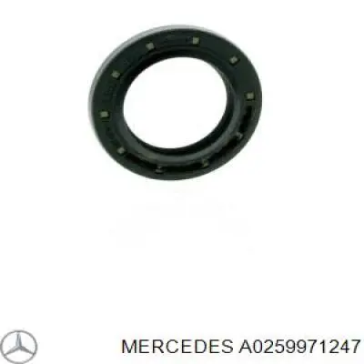 Anillo Reten Caja De Cambios para Mercedes A (W169)