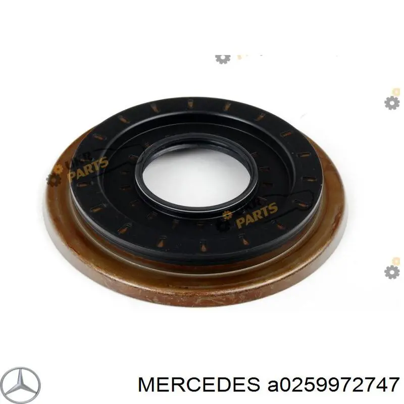 Anillo retén, diferencial eje trasero MERCEDES A0259972747