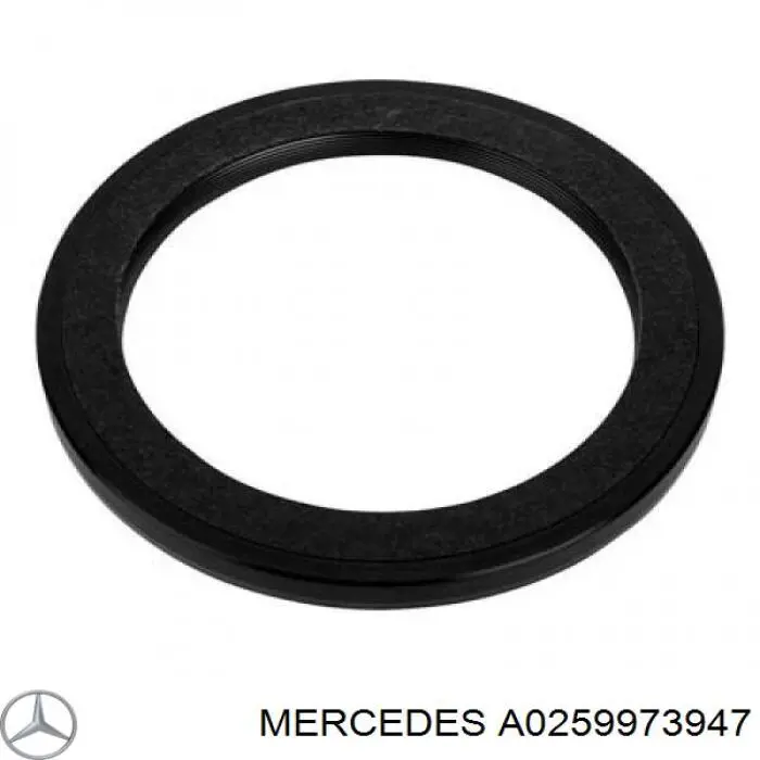 A0259973947 Mercedes anillo retén, cigüeñal frontal