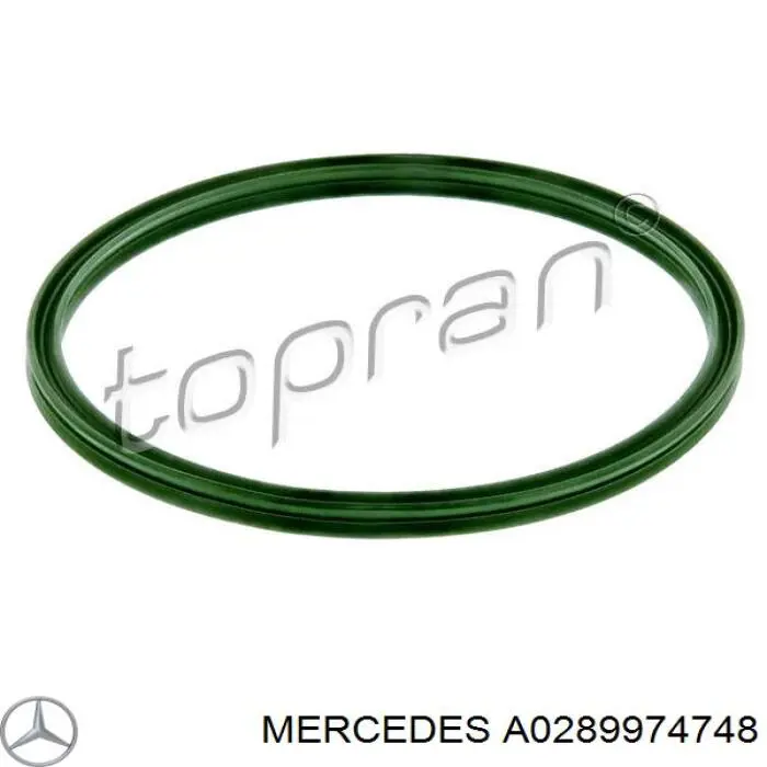 Junta tórica para tubo intercooler para Mercedes C (S203)