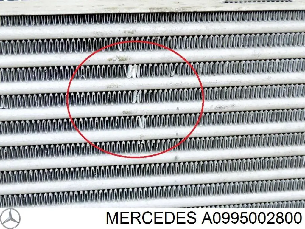Comprar A0995002800 Mercedes Turbo intercooler