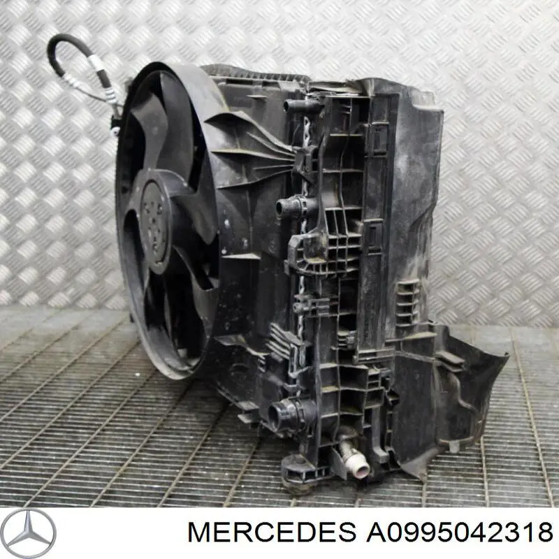 0995042318 Mercedes