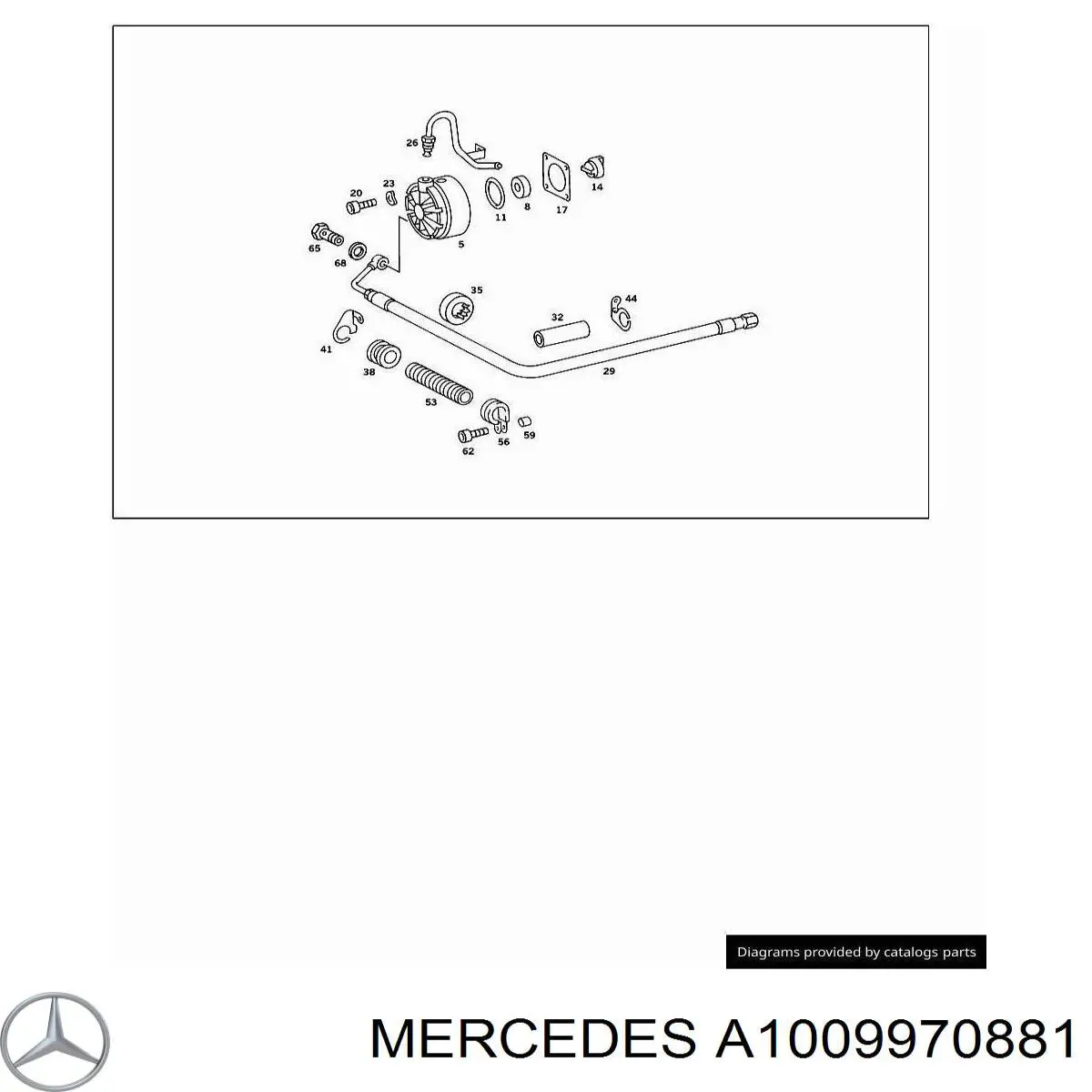 A1009970881 Mercedes 