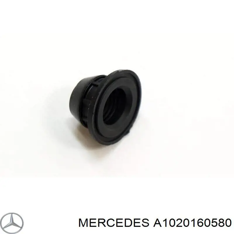 1020160580 Mercedes