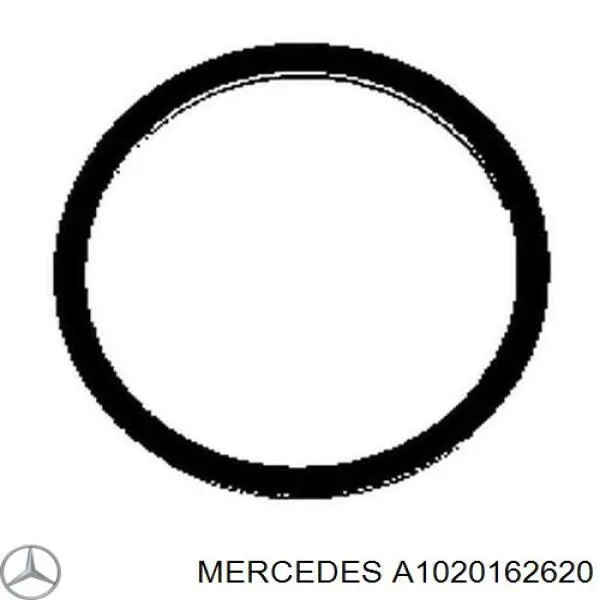 Empaque de culata Mercedes 1020162620