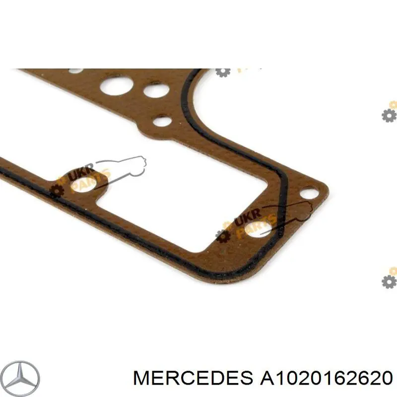 1020161120 Mercedes junta de culata