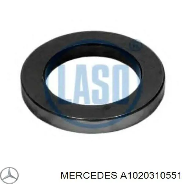 A1020310551 Mercedes