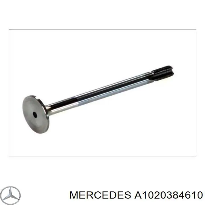 1020384610 Mercedes