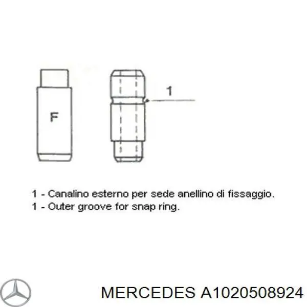 1020508924 Mercedes guía de válvula de admisión