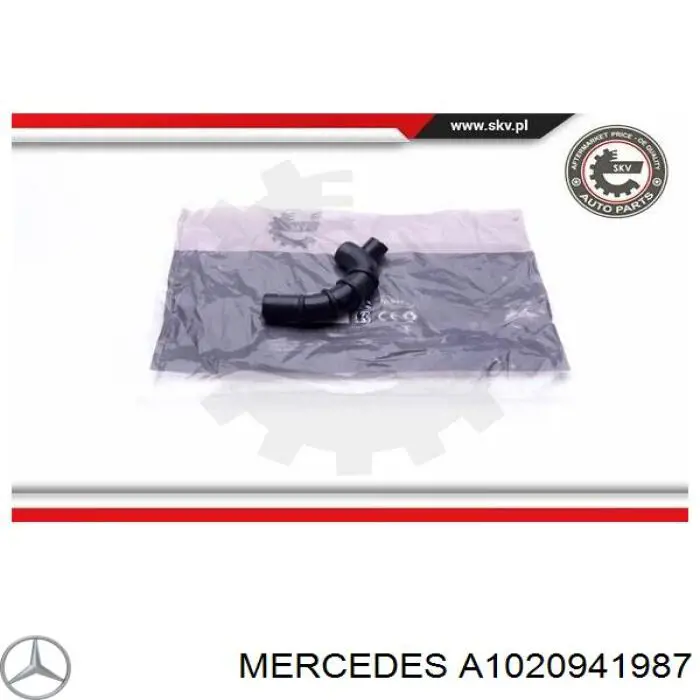 A1020941987 Mercedes Decantador de aceite