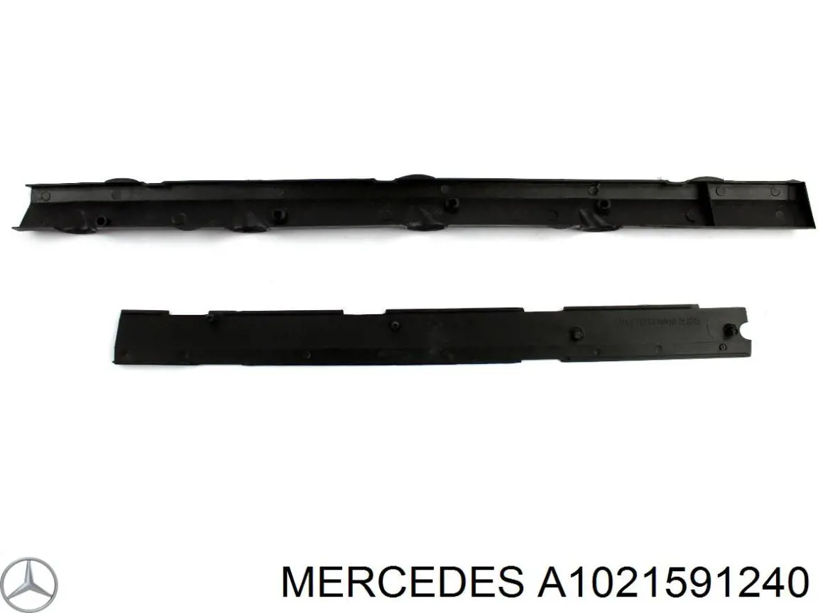 1021591240 Mercedes