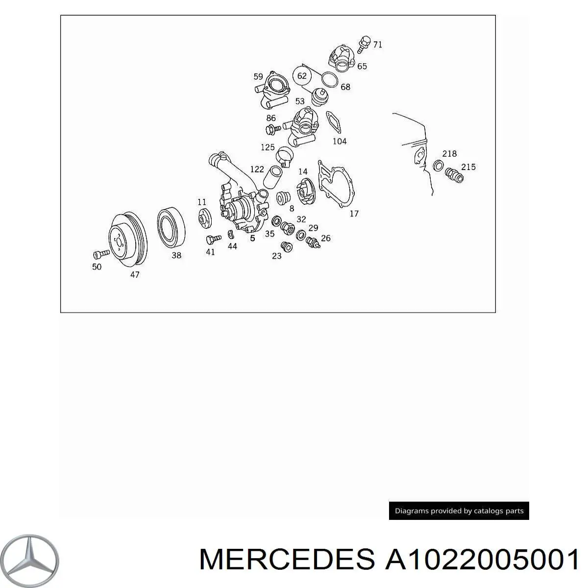 A1022005001 Mercedes bomba de agua
