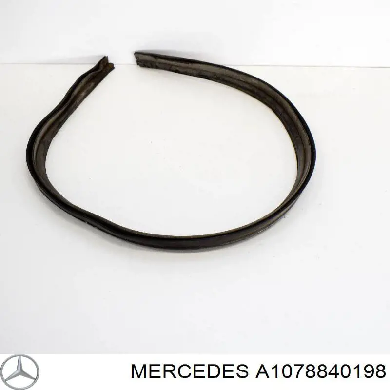 A1078840198 Mercedes