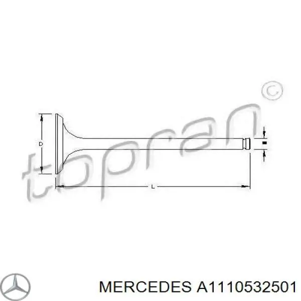 A1110532501 Mercedes válvula de admisión