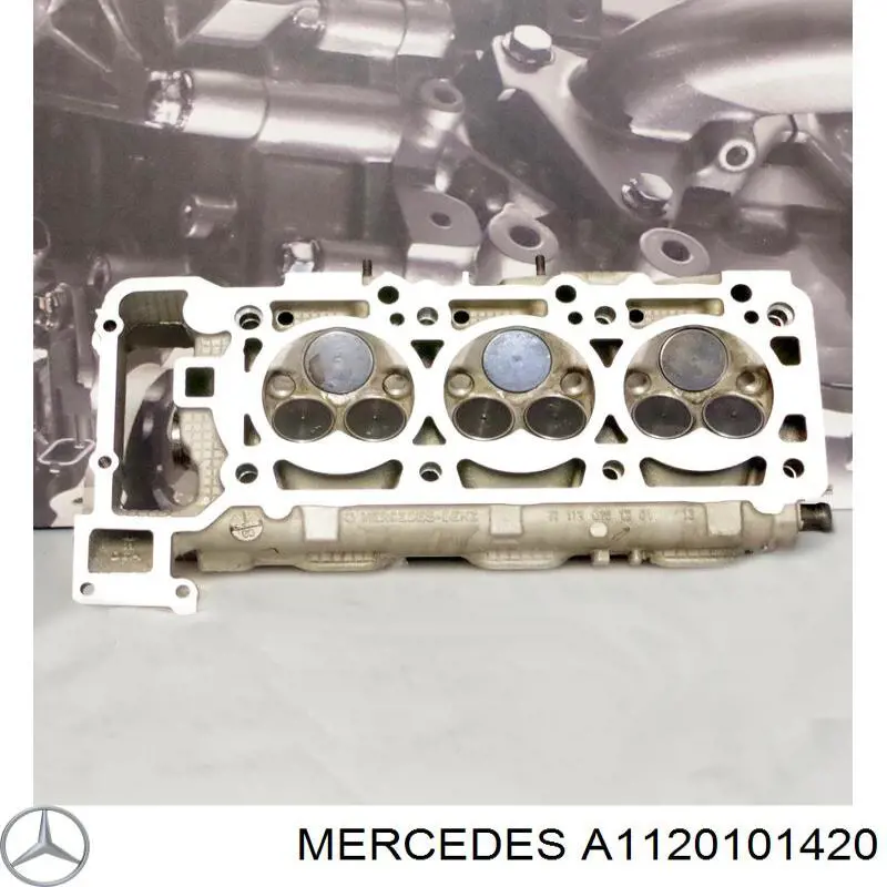 A1120101420 Mercedes culata izquierda