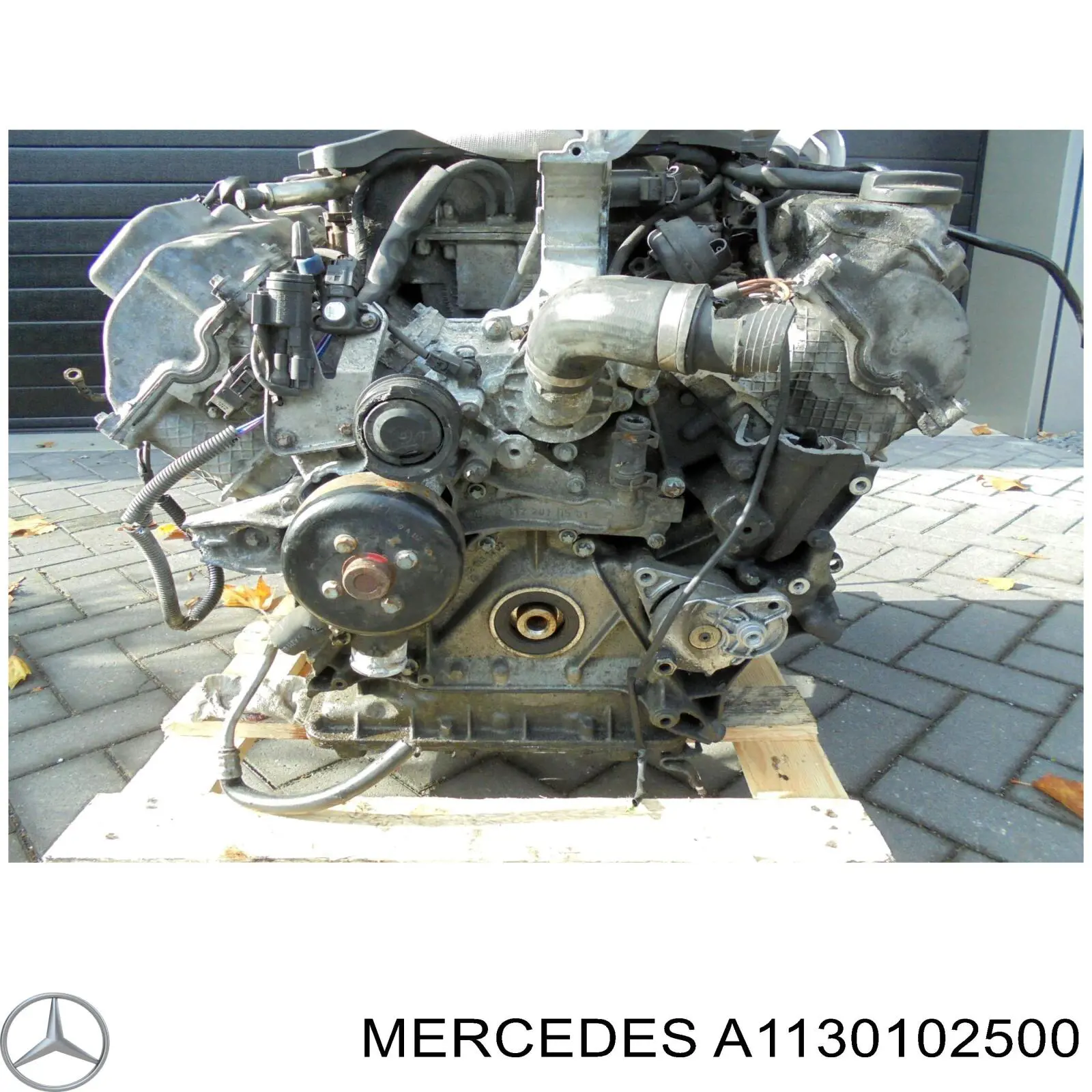 A113010250080 Mercedes motor completo