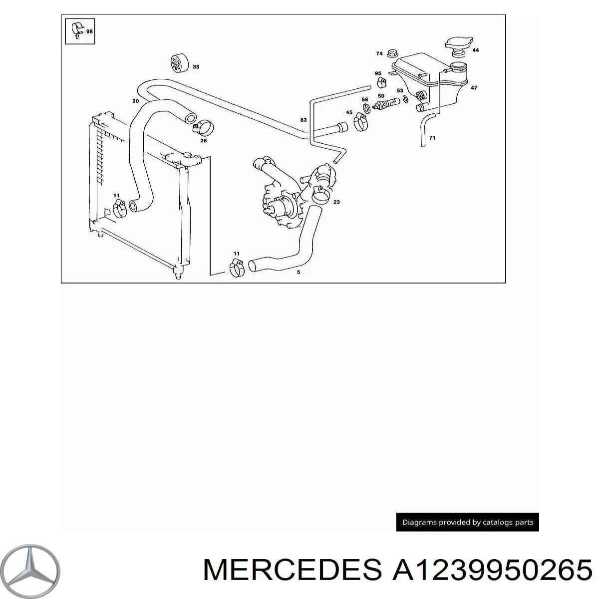 A1239950265 Mercedes