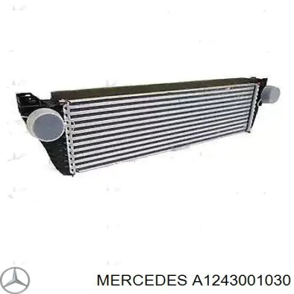Cable del acelerador A1243001030 Mercedes
