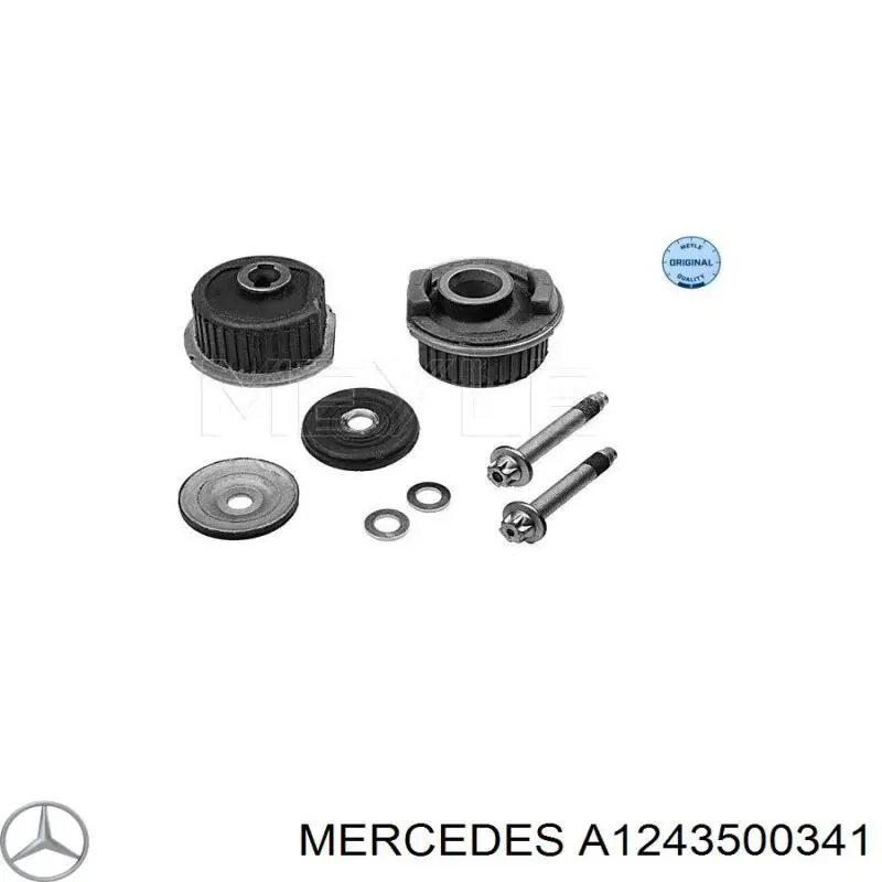 A1243500341 Mercedes suspensión, cuerpo del eje trasero