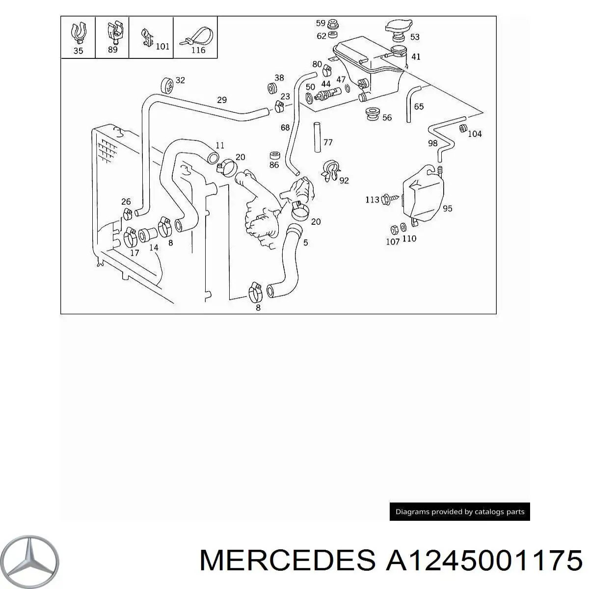 A1245001175 Mercedes manguera refrigerante para radiador inferiora