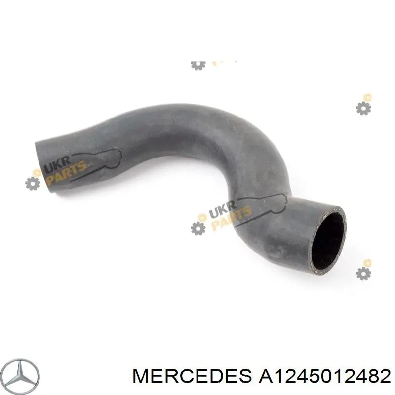 Manguera superior del radiador Mercedes A1245012482 precio, desde 8,30 EUR