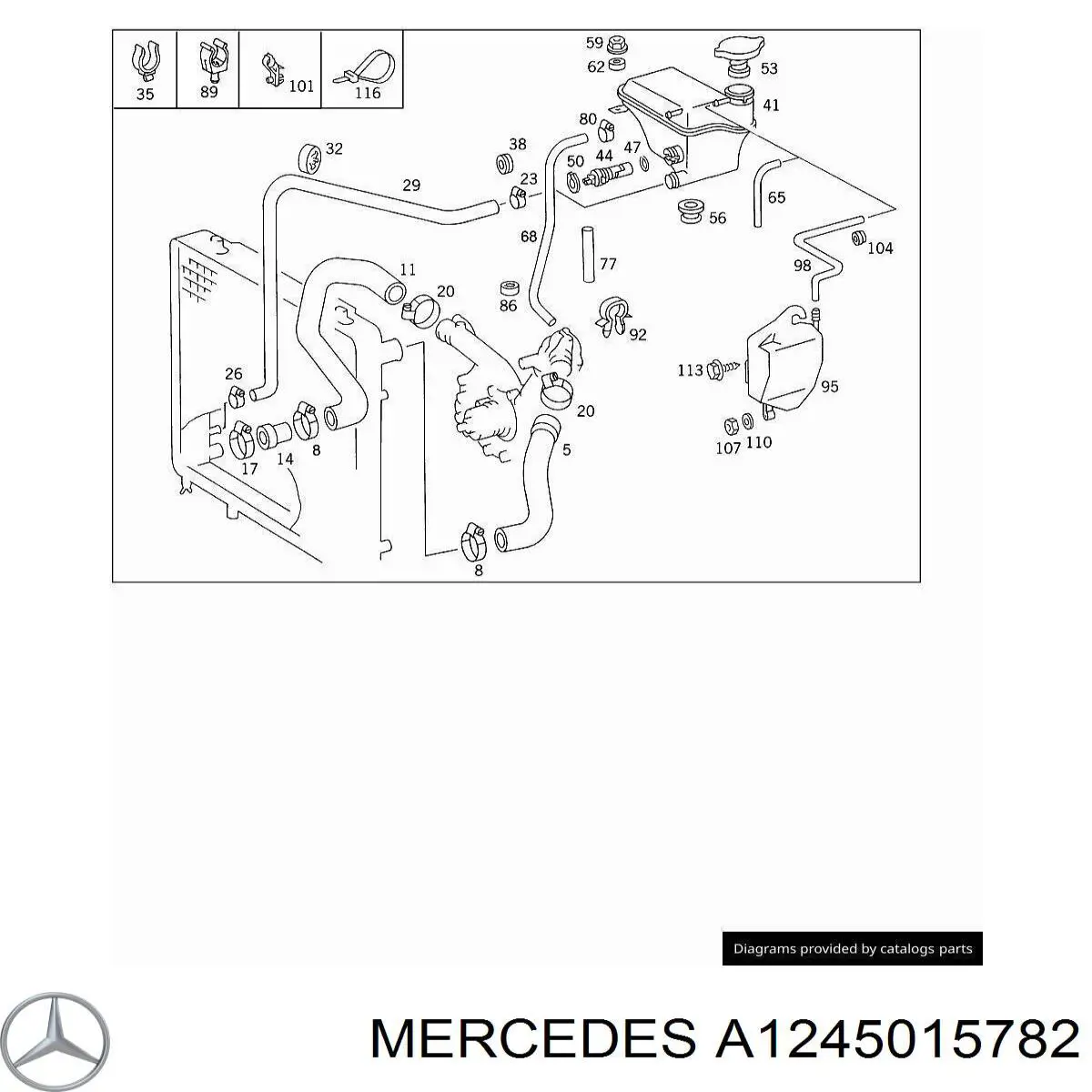 A1245015782 Mercedes manguera refrigerante para radiador inferiora