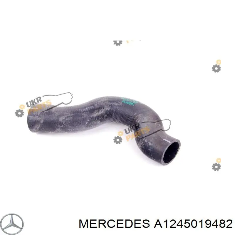 Comprar A1245019482 Mercedes Manguera superior del radiador