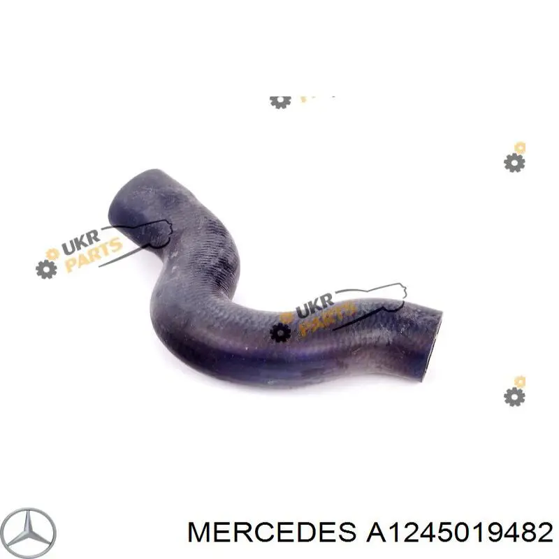 A1245019482 Mercedes tubería de radiador arriba