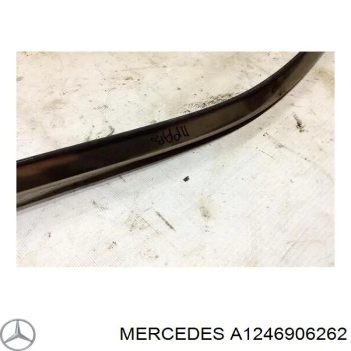 A1246906262 Mercedes