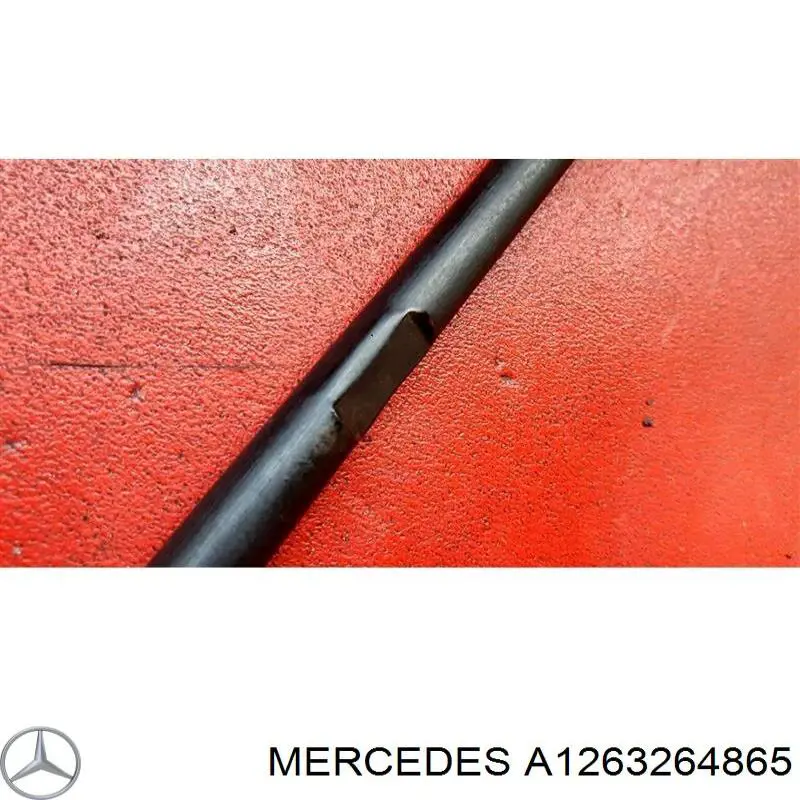 A1263264865 Mercedes