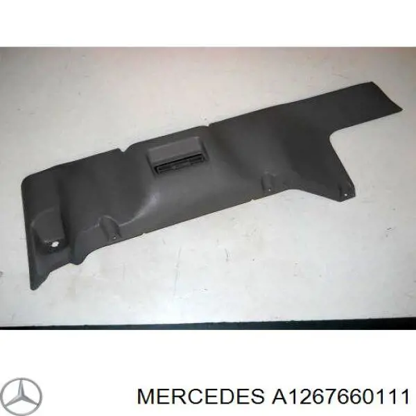 1267660111 Mercedes