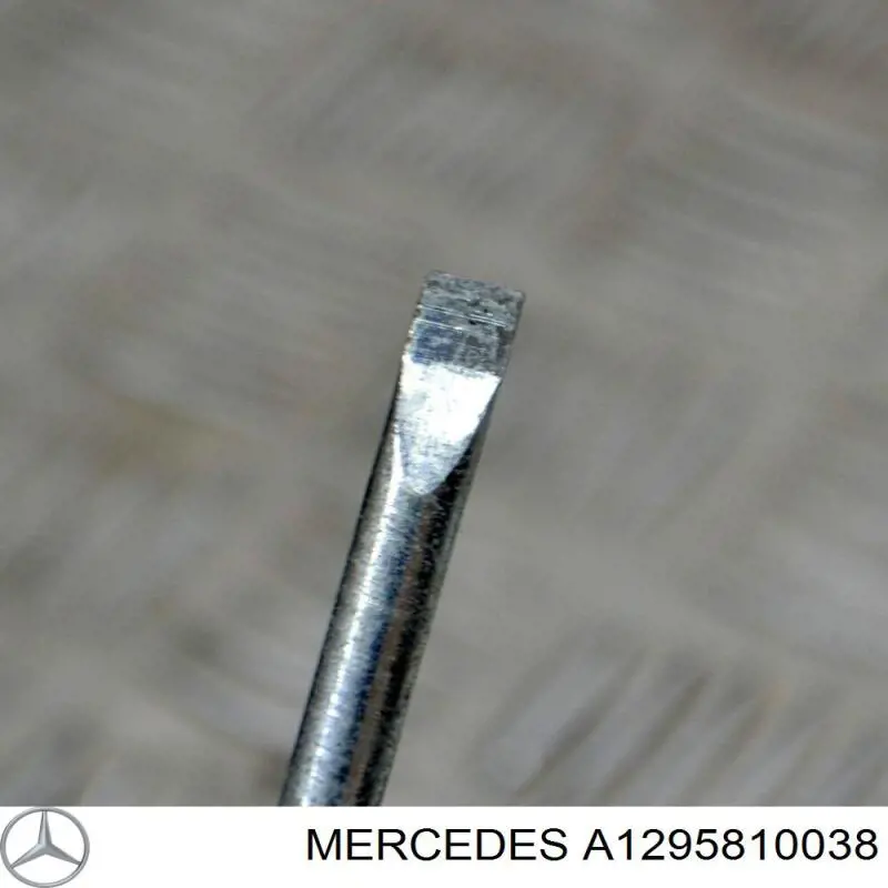 A1295810038 Mercedes 