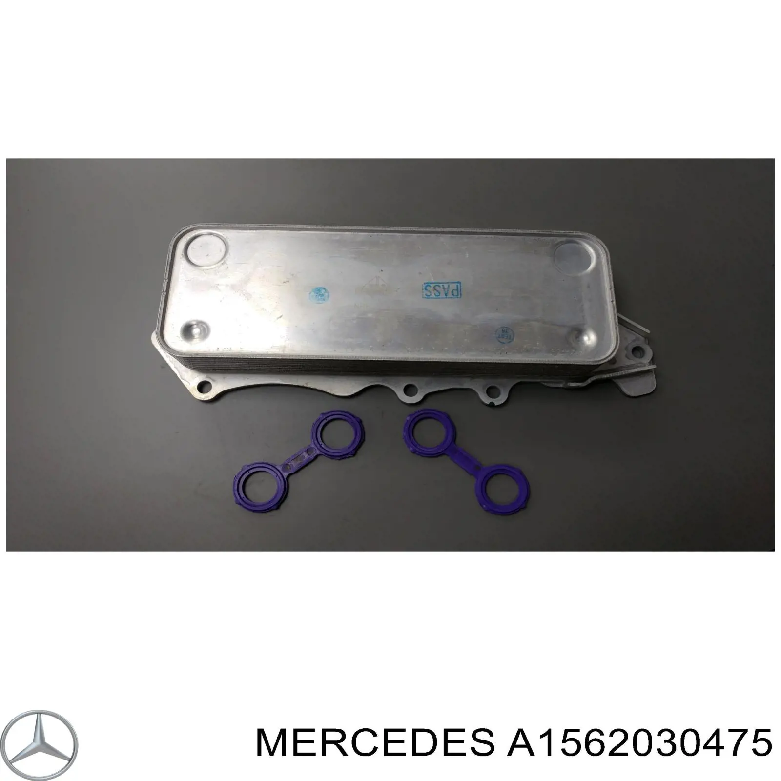 Termostato Mercedes 1562030275 precio, desde 88,05 EUR