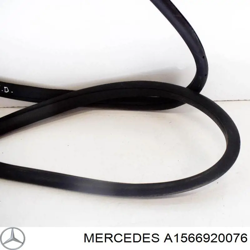 A1566920076 Mercedes