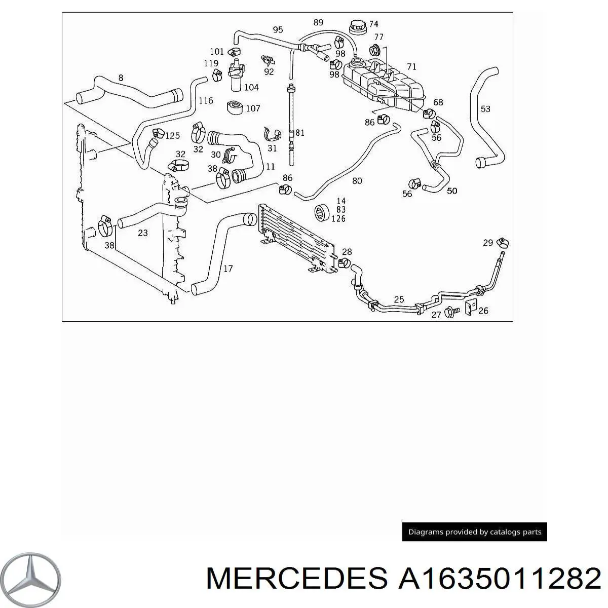 A1635011282 Mercedes manguera refrigerante para radiador inferiora