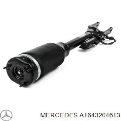 A1643204613 Mercedes Amortiguador frontal