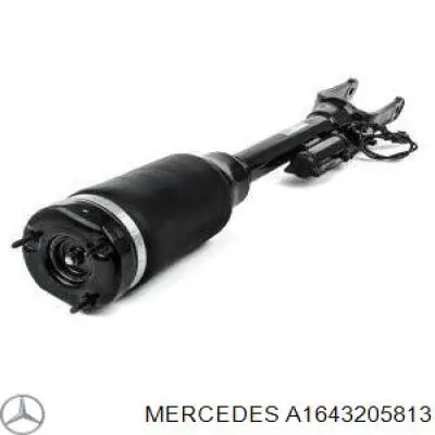 Amortiguador delantero Mercedes A1643205813