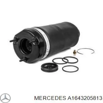 A1643205813 Mercedes Amortiguador frontal