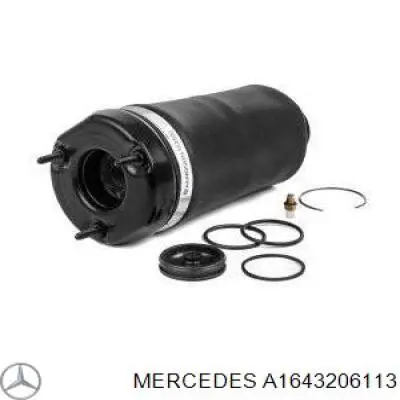 Amortiguador A1643206113 Mercedes