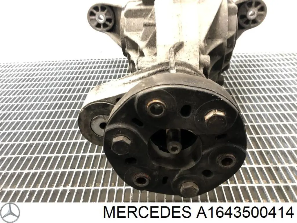 Grupo trasero Mercedes ML/GLE SUV (W164) (2005 - 2011) precio, desde 268,62 EUR