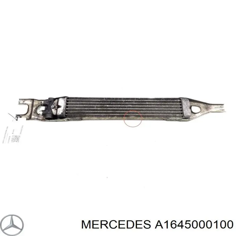  Mercedes A1645000100 precio, desde 137,94 EUR