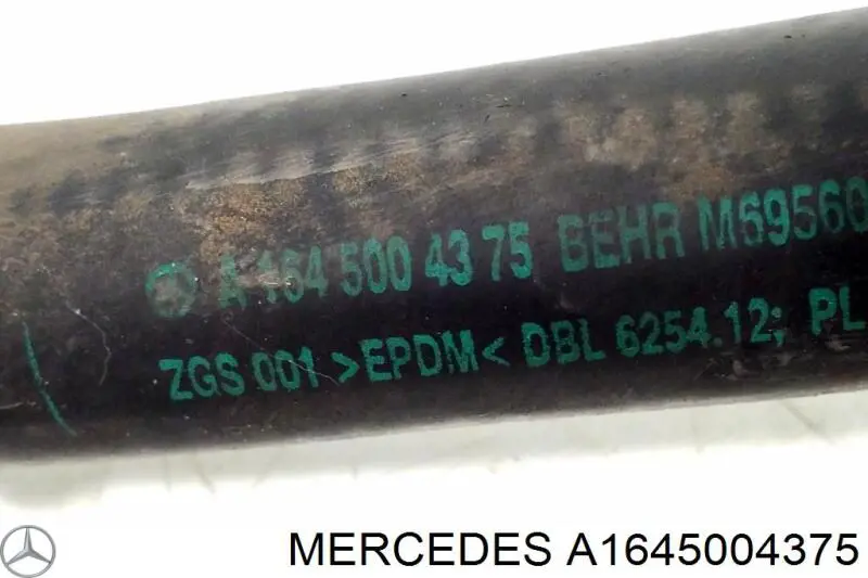 A1645004375 Mercedes