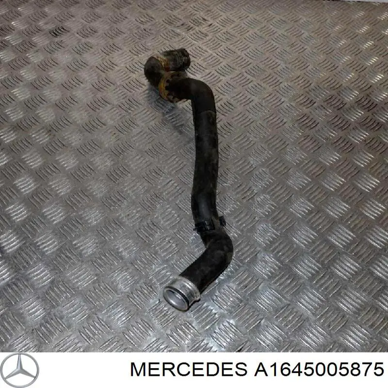 A1645005875 Mercedes tubería de radiador arriba