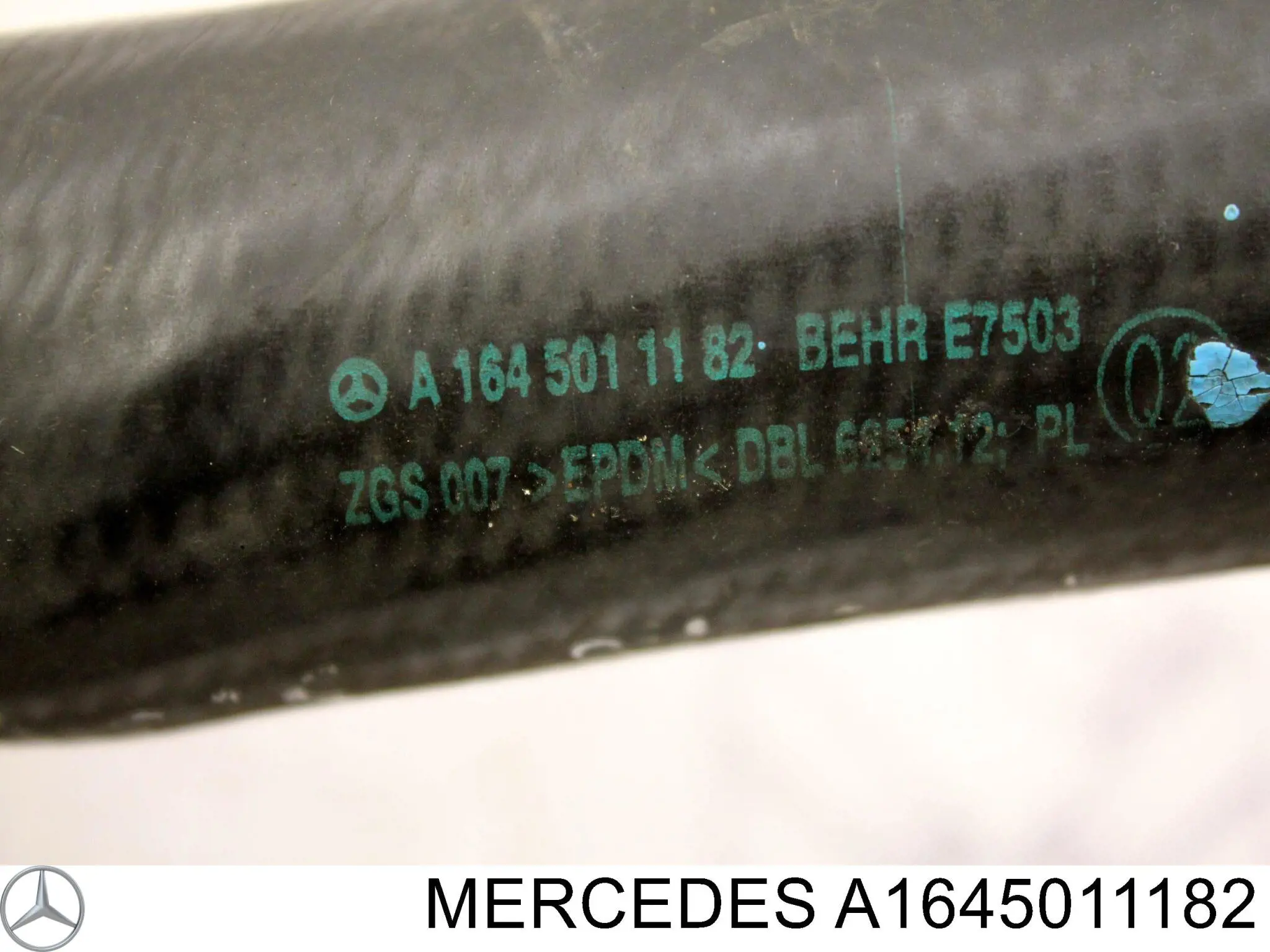 Manguera inferior del radiador Mercedes A1645011182